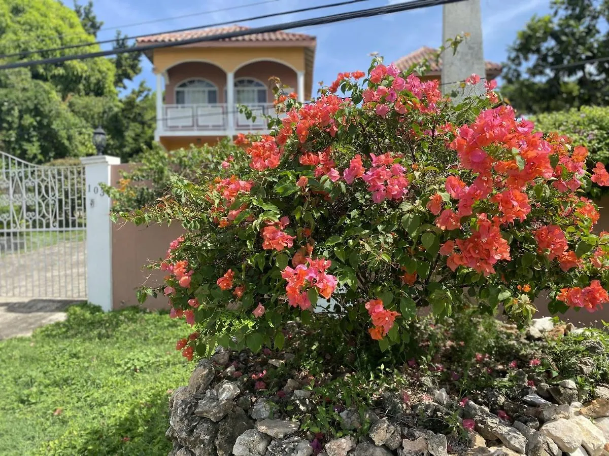 Montego Bay Villa With Mountain View