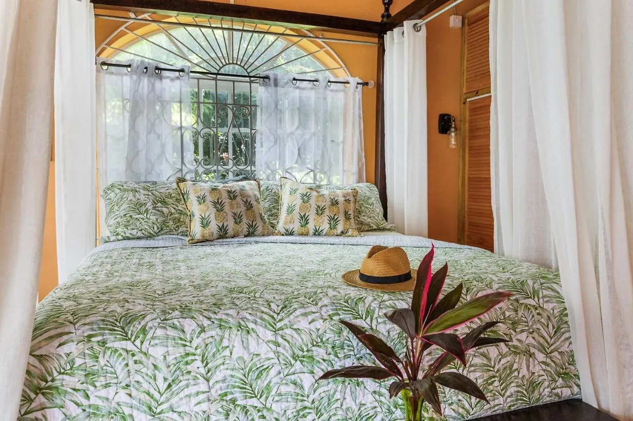 Montego Bay Villa With Mountain View 0*, Montego Bay Giamaica