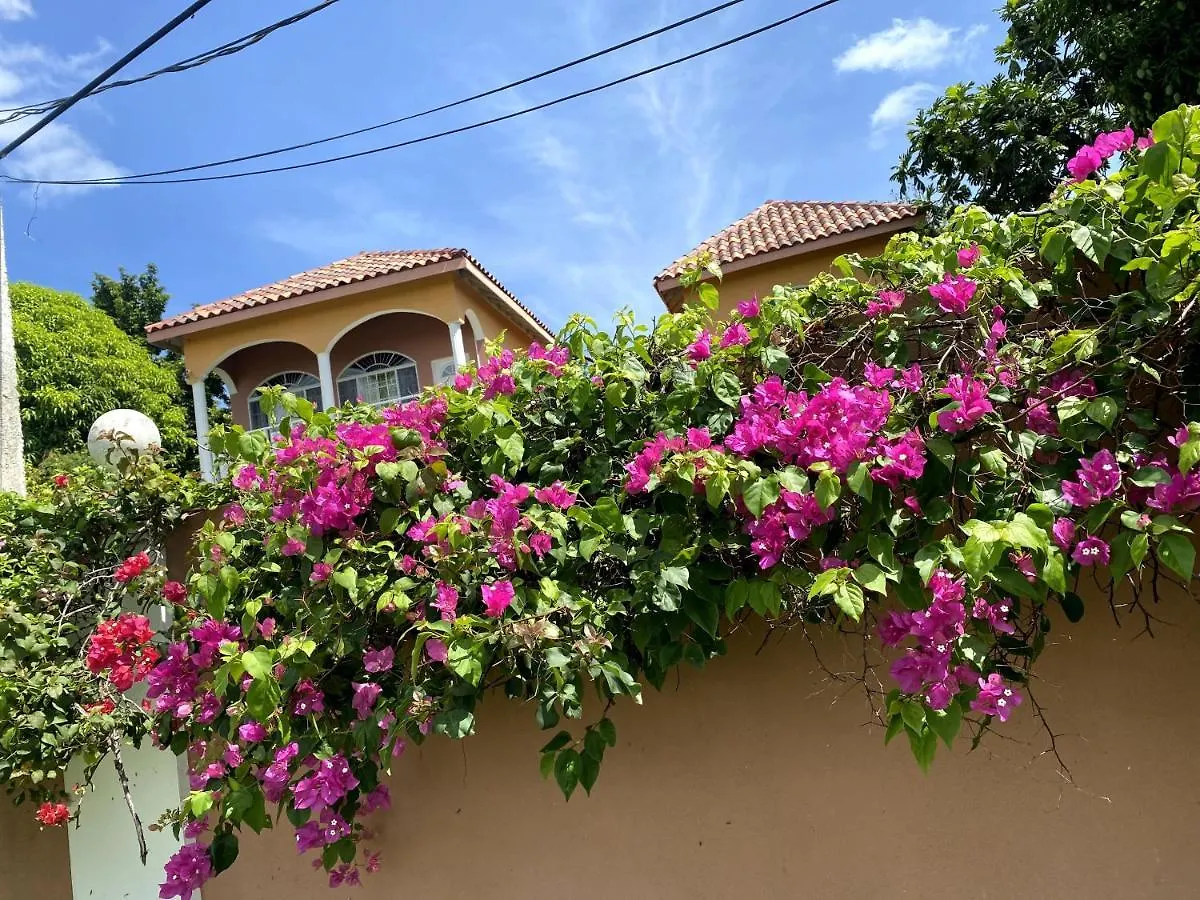 Montego Bay Villa With Mountain View