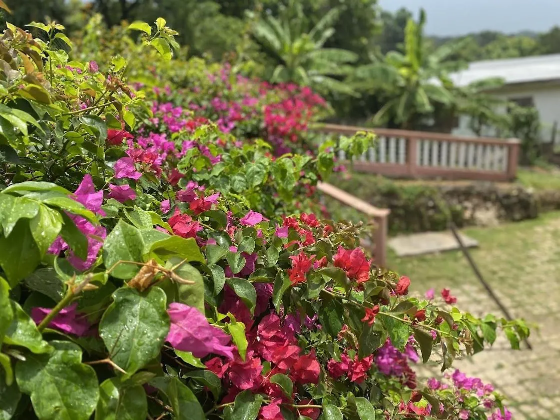 Montego Bay Villa With Mountain View Giamaica